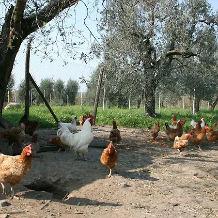 Farma Podere Giovanni *
