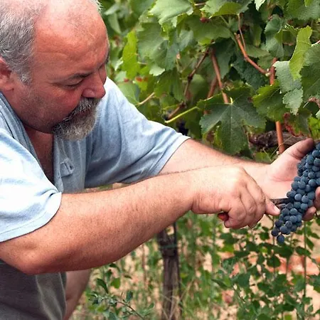 Farma Podere Giovanni *